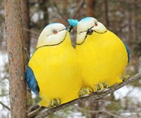 Птички влюбленные