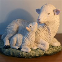 Овца с овечкой